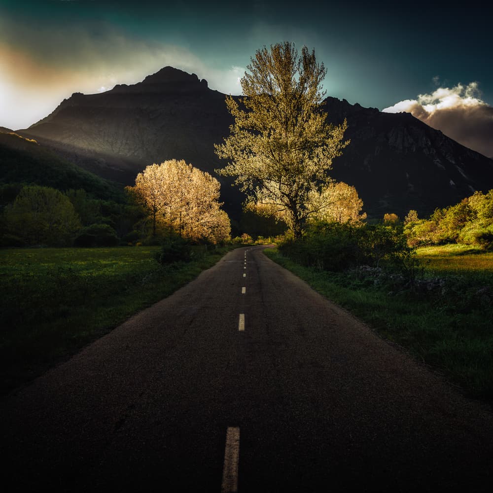 Golden Mountain Road by Marco Antonio Cobo — canvas wall art