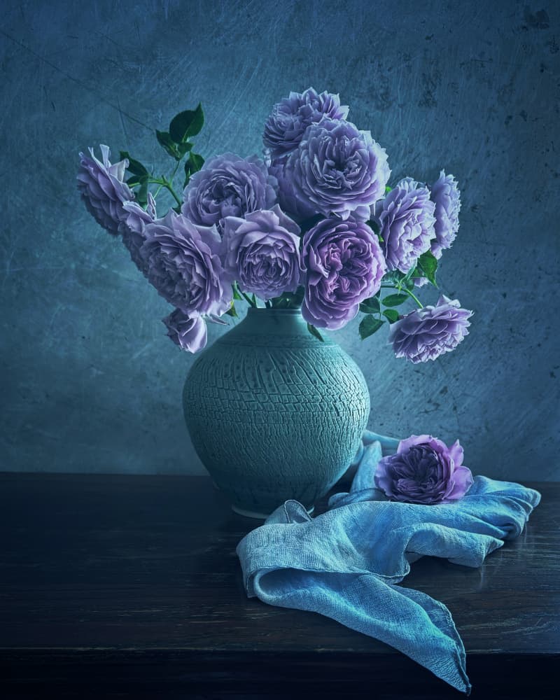 Tranquil Purple Roses by Judy Tseng — canvas wall art
