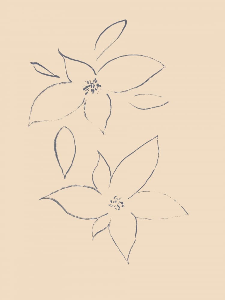 Petals in Sketch by Treechild — canvas wall art