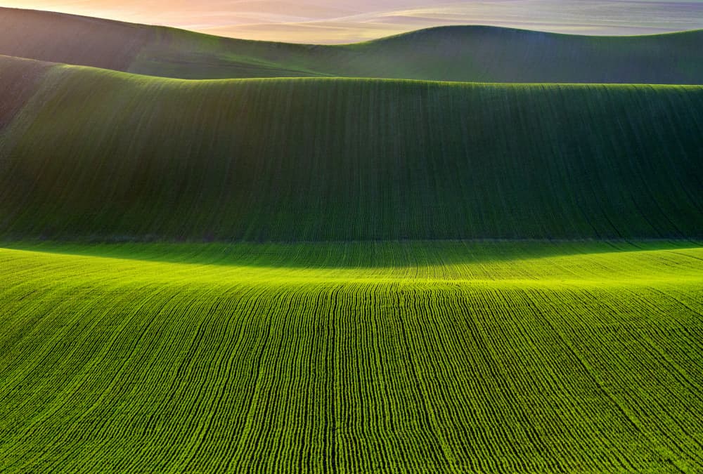 Rolling Green Fields by Nicola Figliuolo — canvas wall art