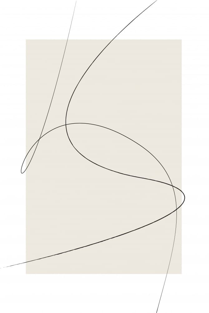 Elegant Abstract Curves by Oju Design — canvas wall art