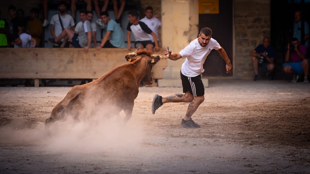 Intense Bull Run by Gustavo Ribes — canvas wall art