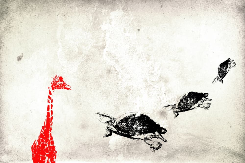 Surreal Giraffe and Turtles by Rafal Kulik — canvas wall art