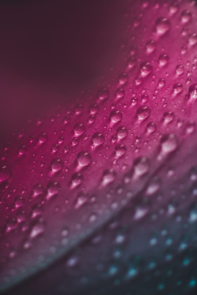 Vibrant Dew Drops by Javier Pardina — canvas wall art