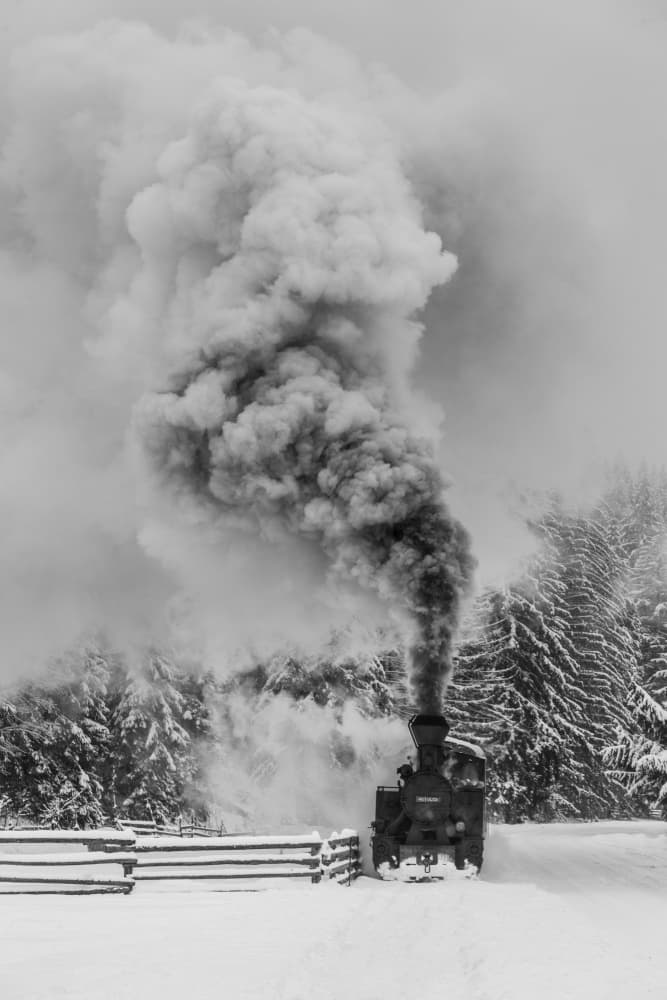 Winter Steam Train by Sveduneac Dorin Lucian — canvas wall art