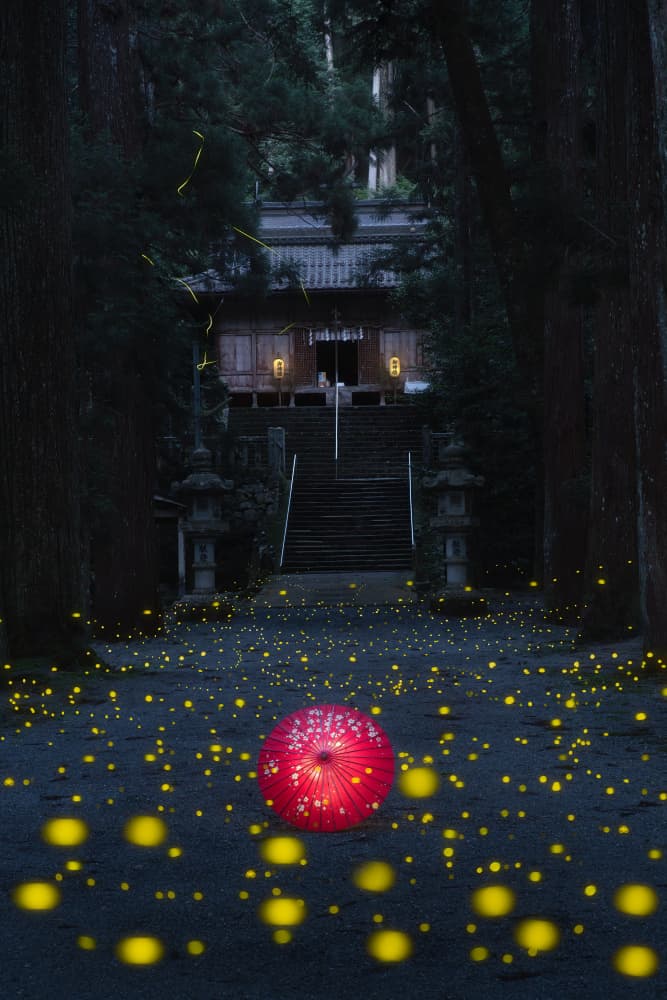 Mystical Firefly Temple by Vu van quan — canvas wall art