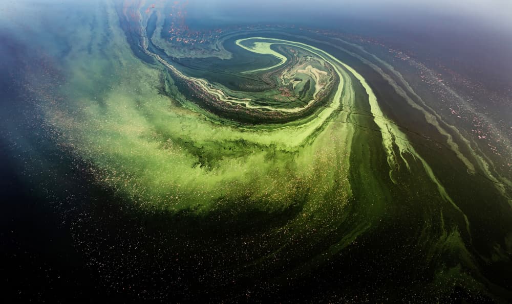 Vibrant Green Water Swirl by Wei (David) Dai — canvas wall art