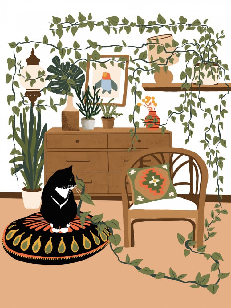 Cozy Cat and Plants by Ceyda Alasar — canvas wall art