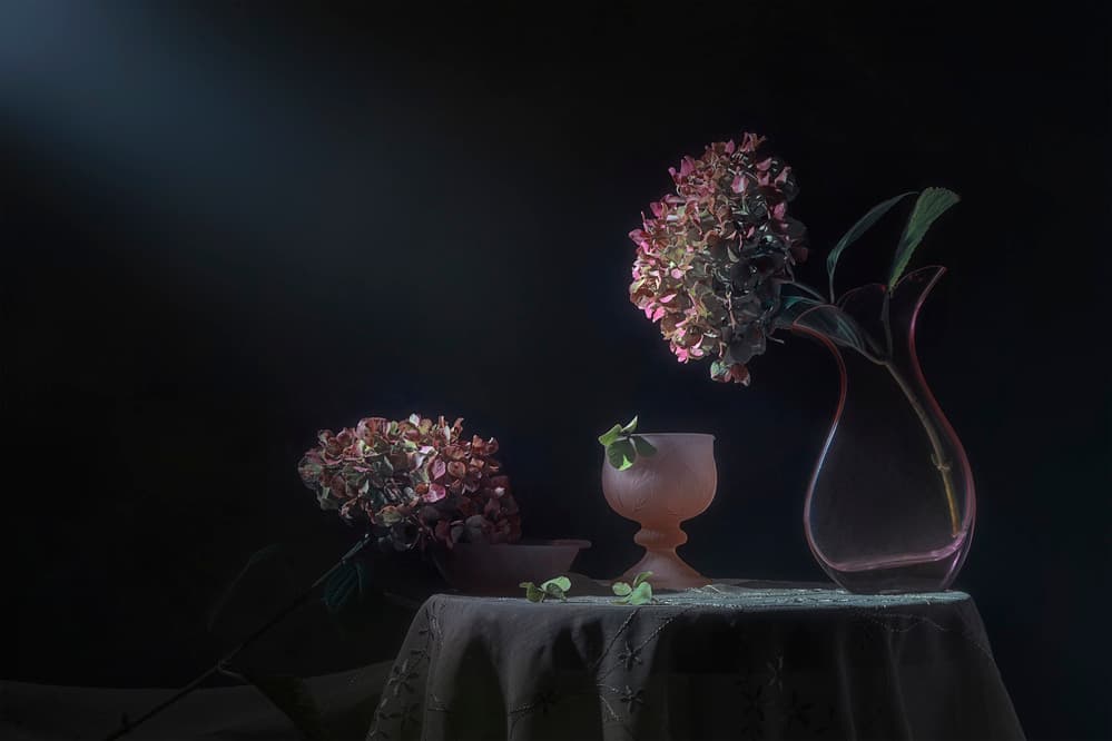 Moody Hydrangea Still Life by Lydia Jacobs — canvas wall art