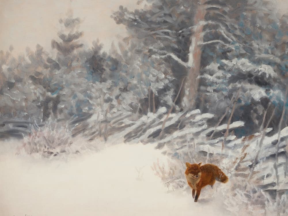 Winter Forest Fox by Jolly and Dash — canvas wall art