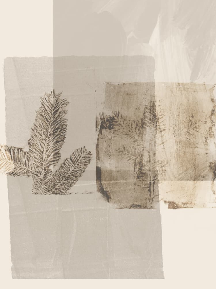 Neutral Pine Collage by Dina Dankers — canvas wall art