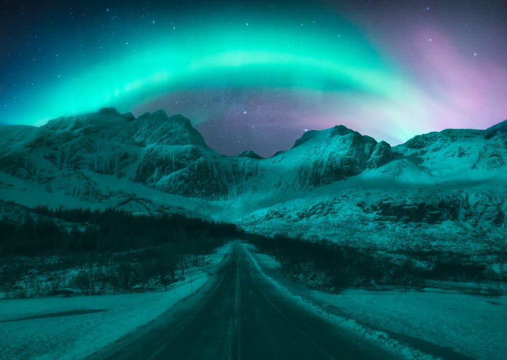 Winter Road Under Aurora by Carlos Gonzalez — canvas wall art