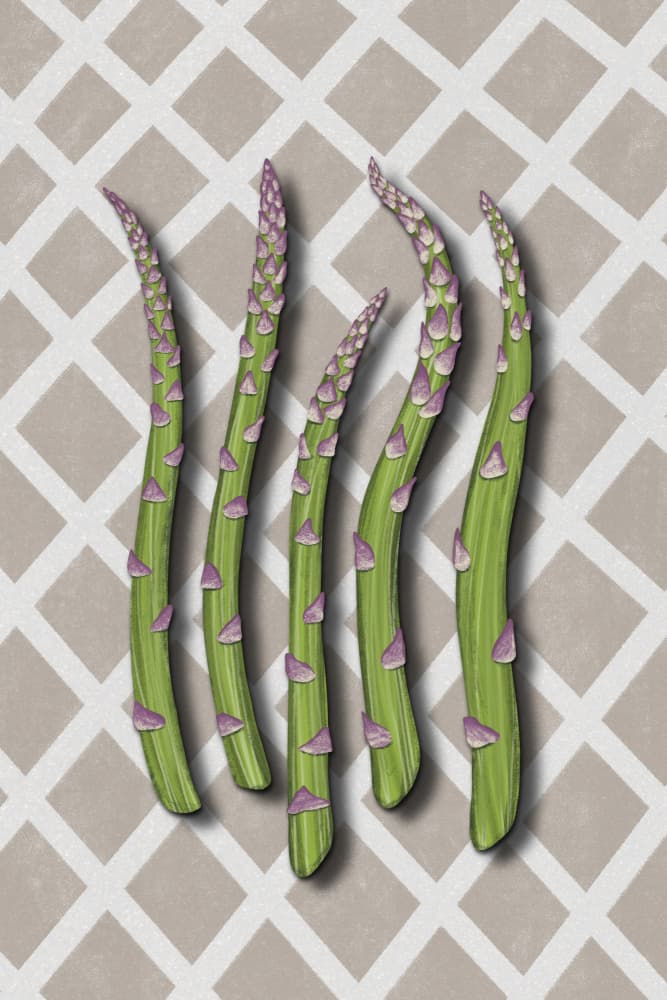 Fresh Green Asparagus Spears by EMELIEmaria — canvas wall art
