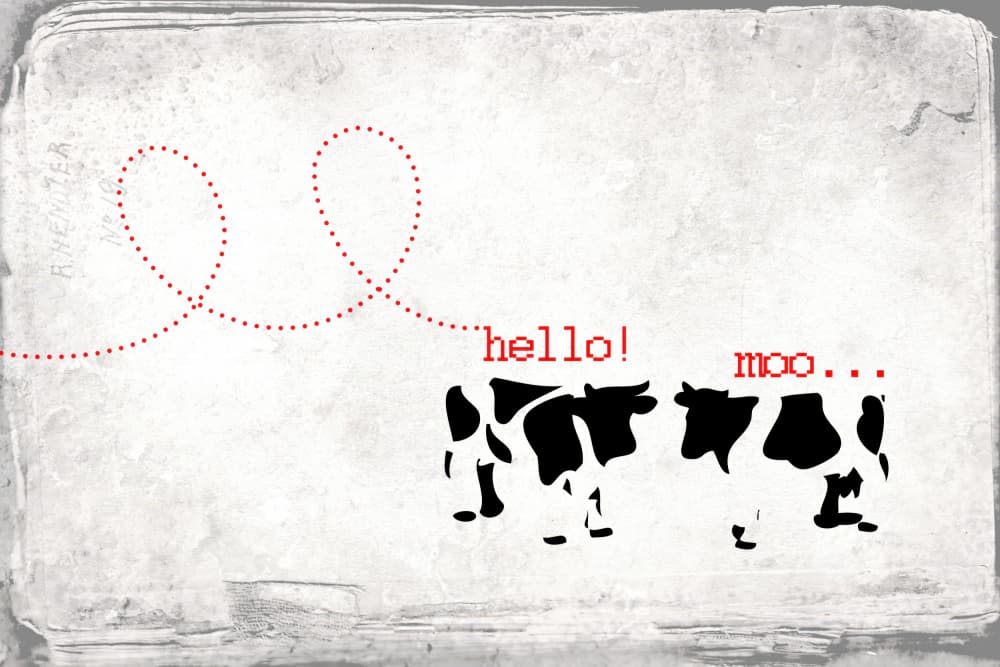 Hello Moo Cows by Rafal Kulik — canvas wall art