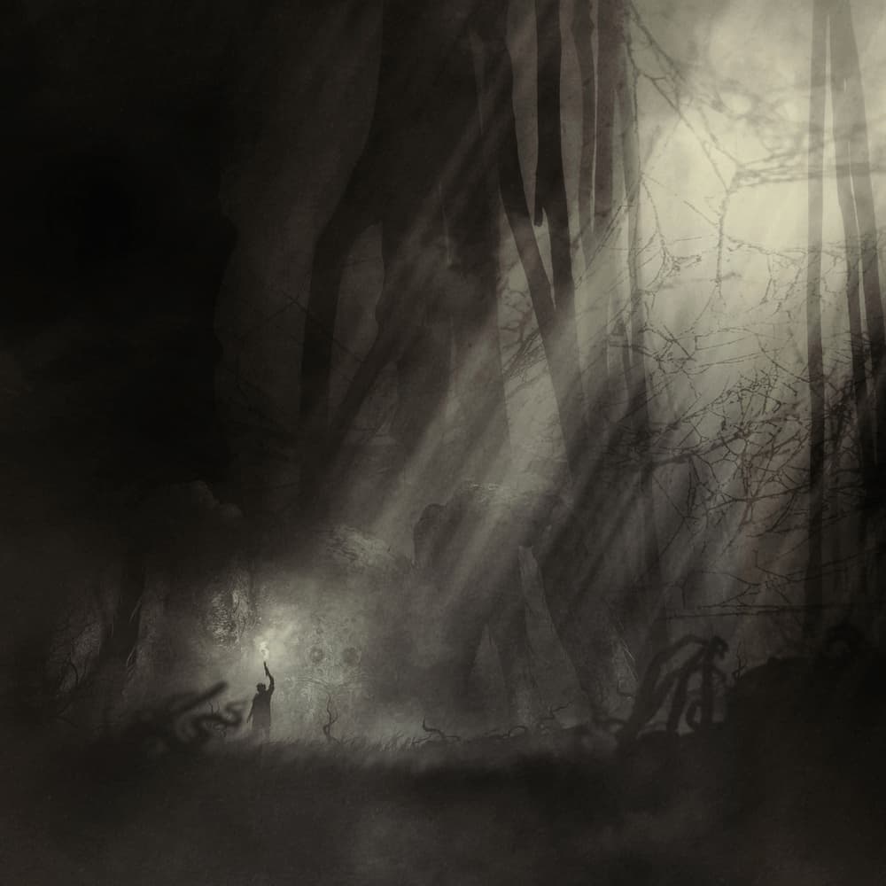 Misty Forest Explorer by Sebastien DEL GROSSO — canvas wall art