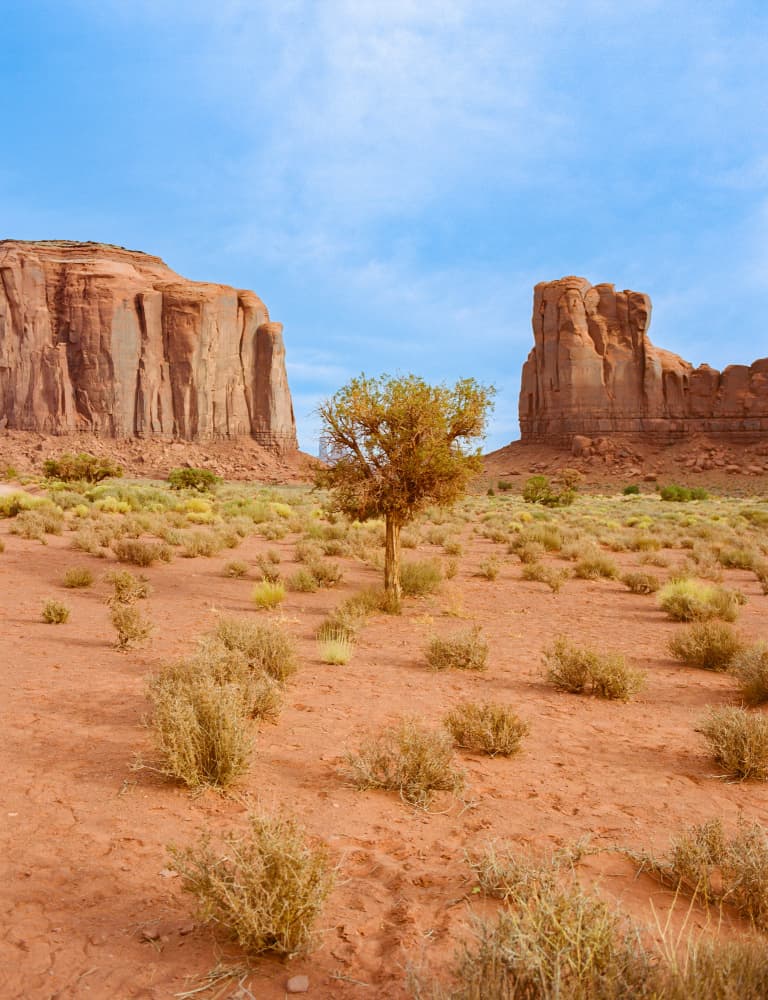Southwest Desert Landscape by Bethany Young — canvas wall art