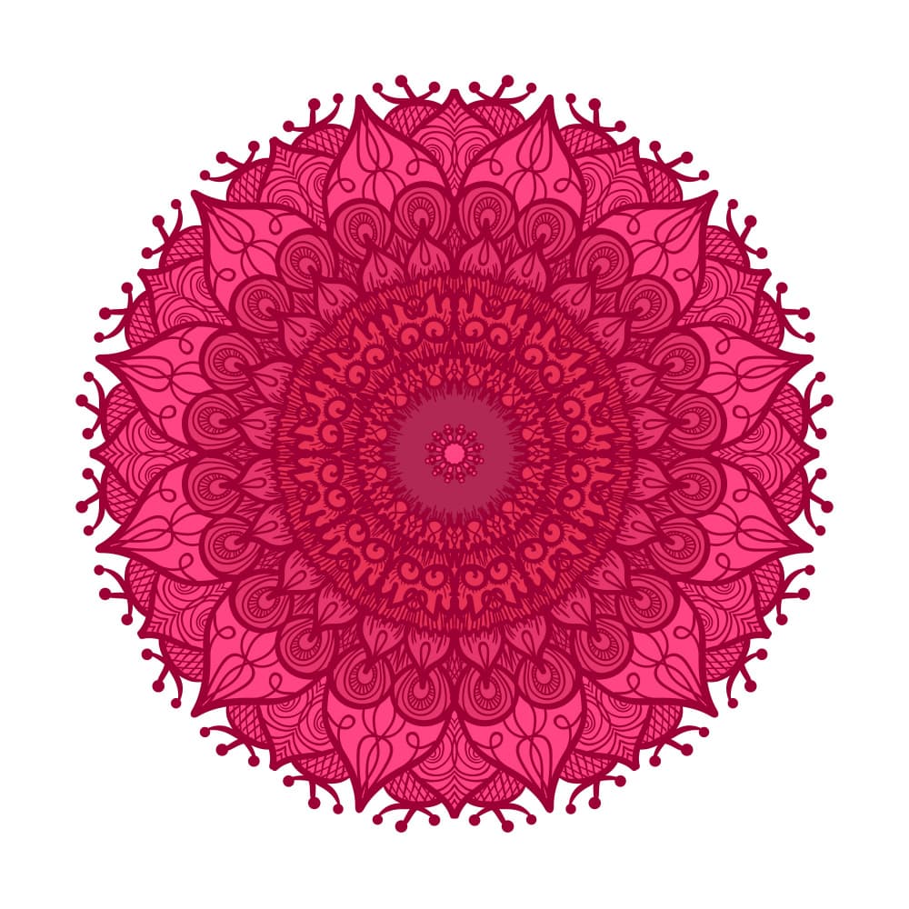Intricate Pink Mandala by Marika Barsrsind — canvas wall art