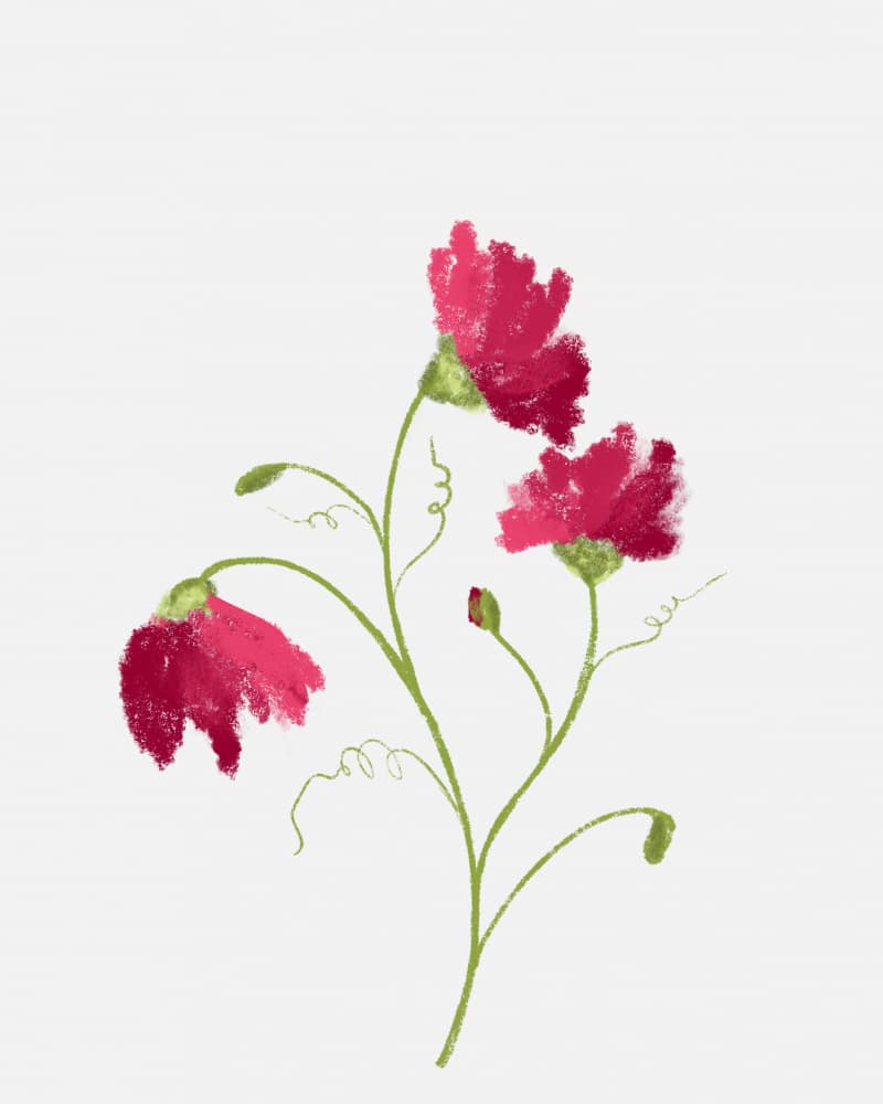 Delicate Red Blooms by Sonia Pal — canvas wall art