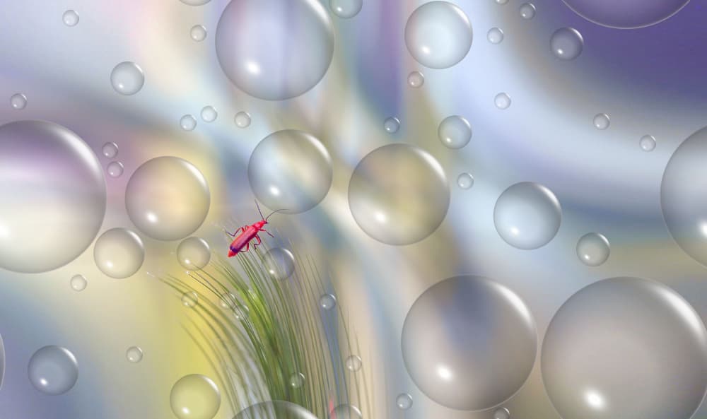 Red Bug Among Bubbles by Thierry Dufour — canvas wall art