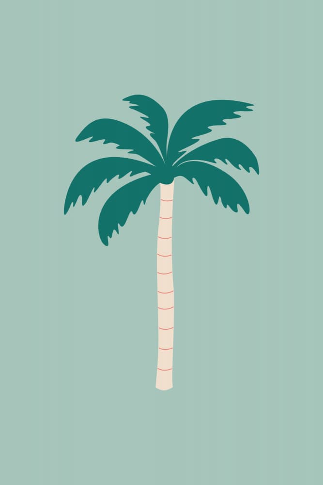 Serene Tropical Palm by Karen Menzenbach — canvas wall art