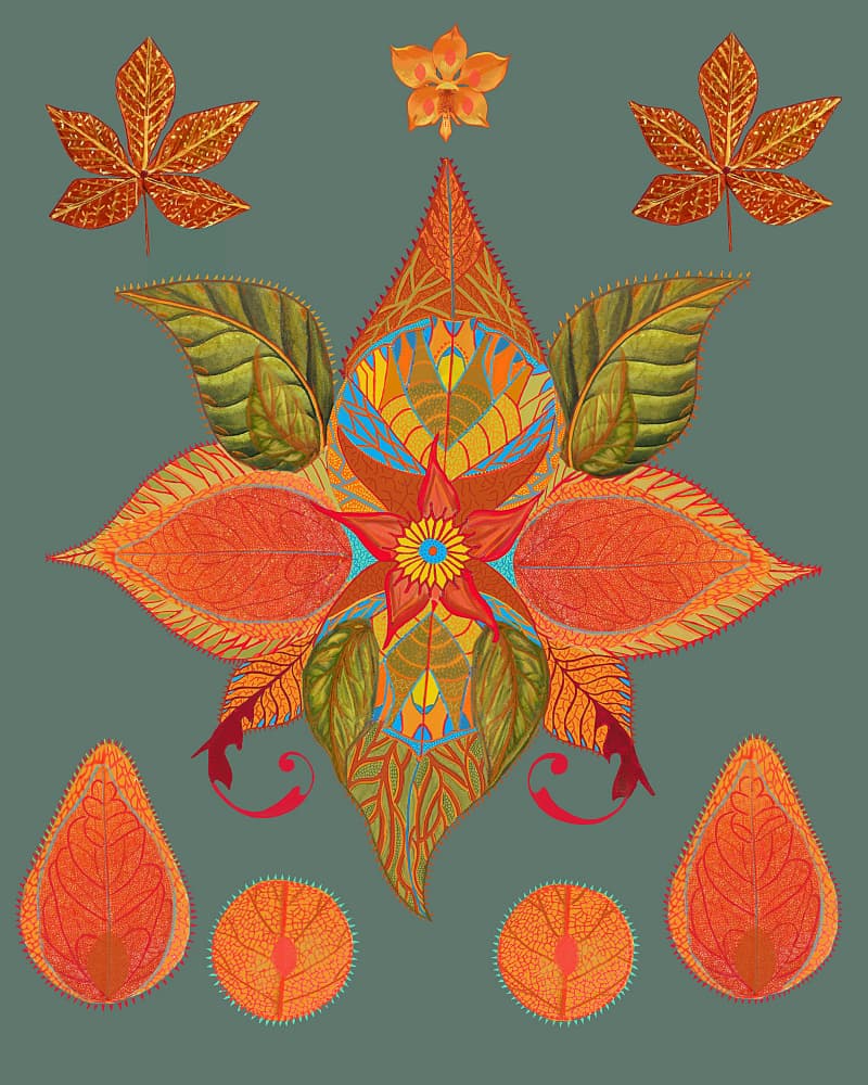 Vibrant Autumn Botanicals by giovanna nicolo — canvas wall art