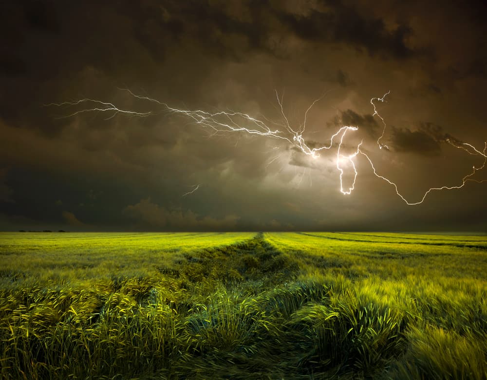 Electric Sky Over Field by Nicolas Schumacher — canvas wall art