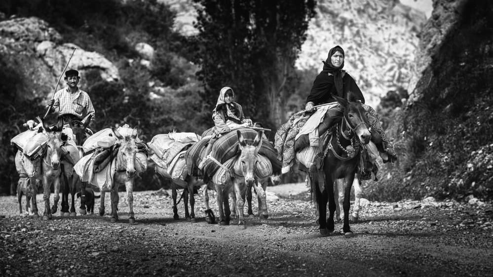 Traditional Mountain Journey by Mohammadreza Momeni — canvas wall art