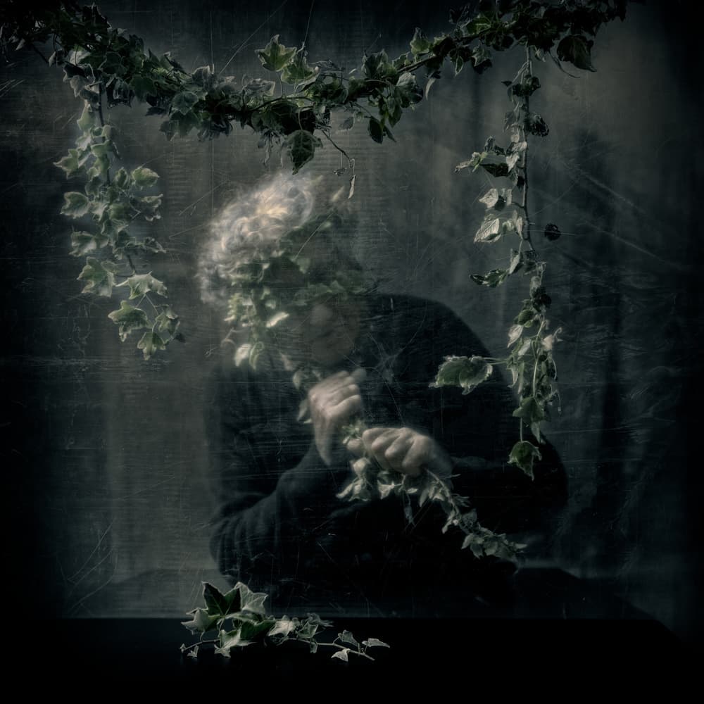 Nature's Embrace by Vito Guarino — canvas wall art