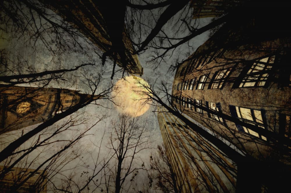 Moonlit Urban Night by Robert Fabrowski — canvas wall art