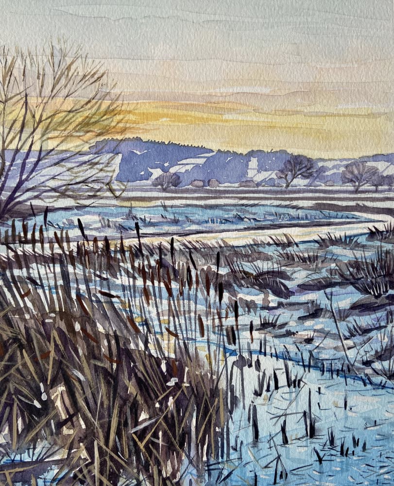 Winter Marsh Sunset by Luisa Millicent — canvas wall art