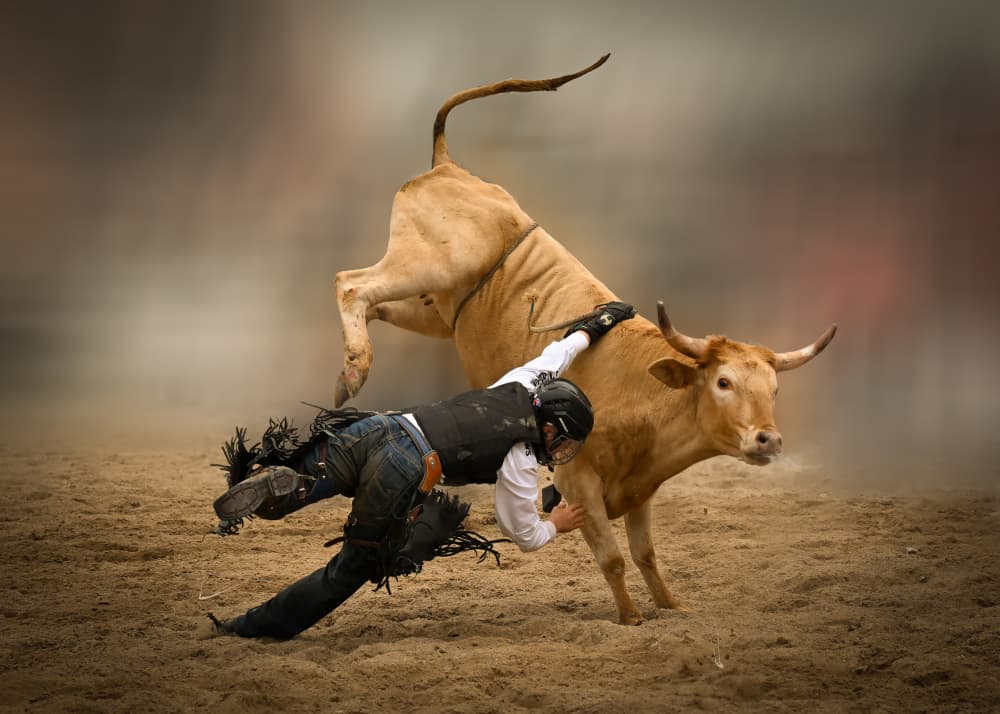 Rodeo Cowboy Fall by Yuanwei Zuo APA — canvas wall art