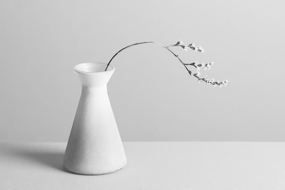 Minimalist Flower Vase by Kristina Oveckova — canvas wall art