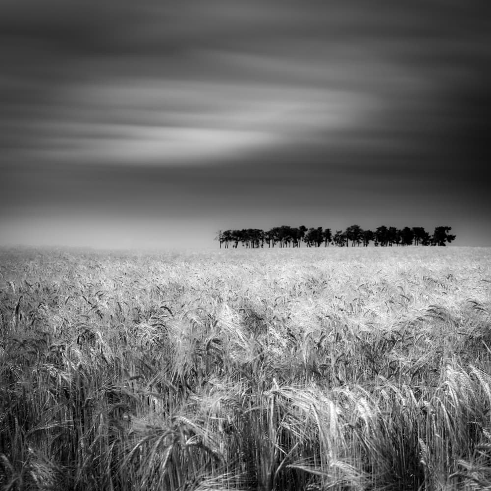 Dramatic Field Horizon by Marco Antonio Cobo — canvas wall art