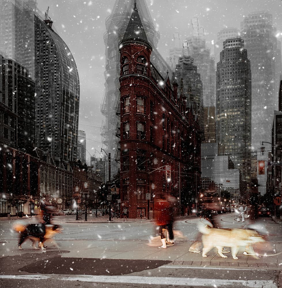 Dynamic Winter Flatiron by Carmine Chiriacò — canvas wall art