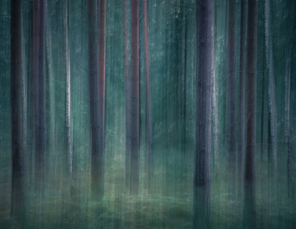 Mystic Forest Blur by Christian Lindsten — canvas wall art