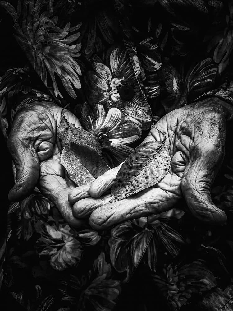 Elderly Hands Leaves by Ingrida Urbonavičienė — canvas wall art