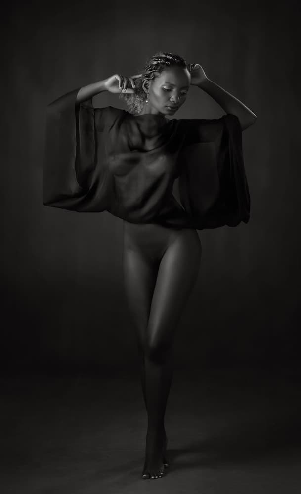 Sheer Elegance by Hugh Wilkinson — canvas wall art