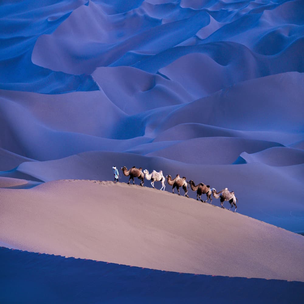 Blue Desert Caravan by Cai ning — canvas wall art