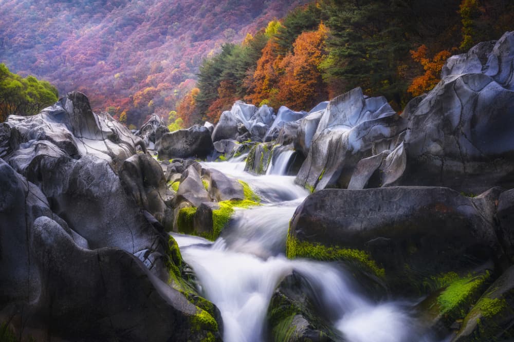 Flowing Autumn Stream by Tiger Seo — canvas wall art