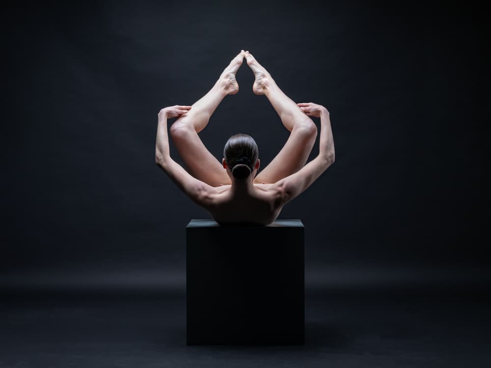 Flexible Form Study by Luc Stalmans — canvas wall art
