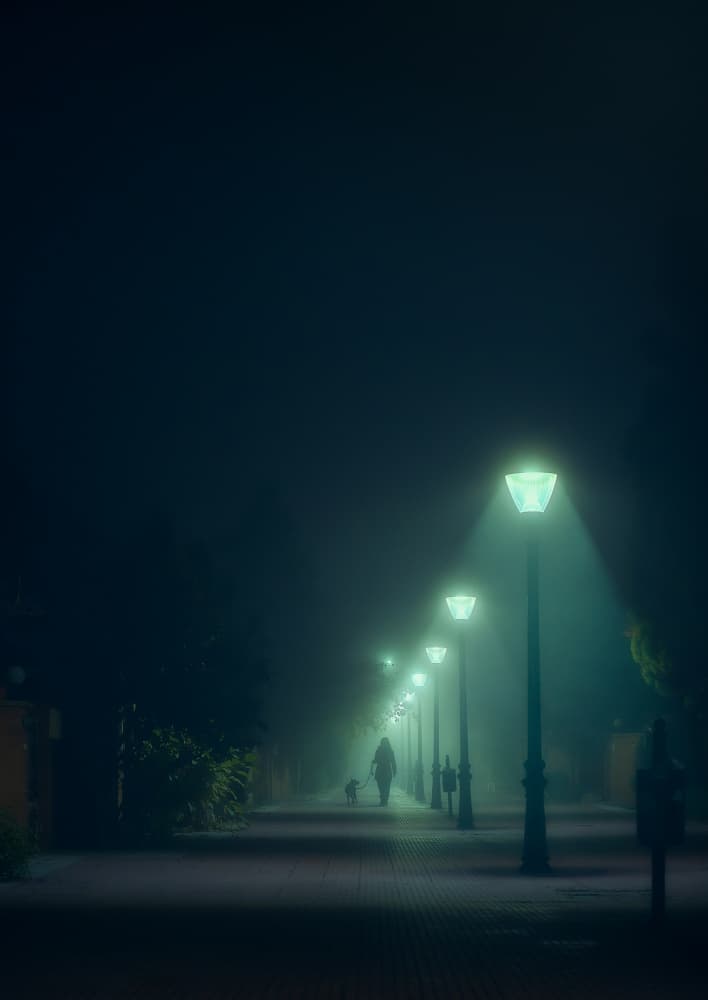 Misty Night Path by Carlos Hernandez Martinez — canvas wall art