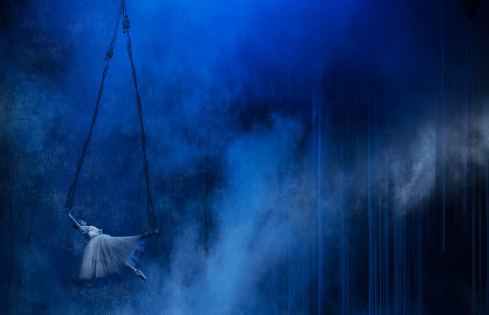 Aerial Ballet Dance by Peet van den Berg — canvas wall art