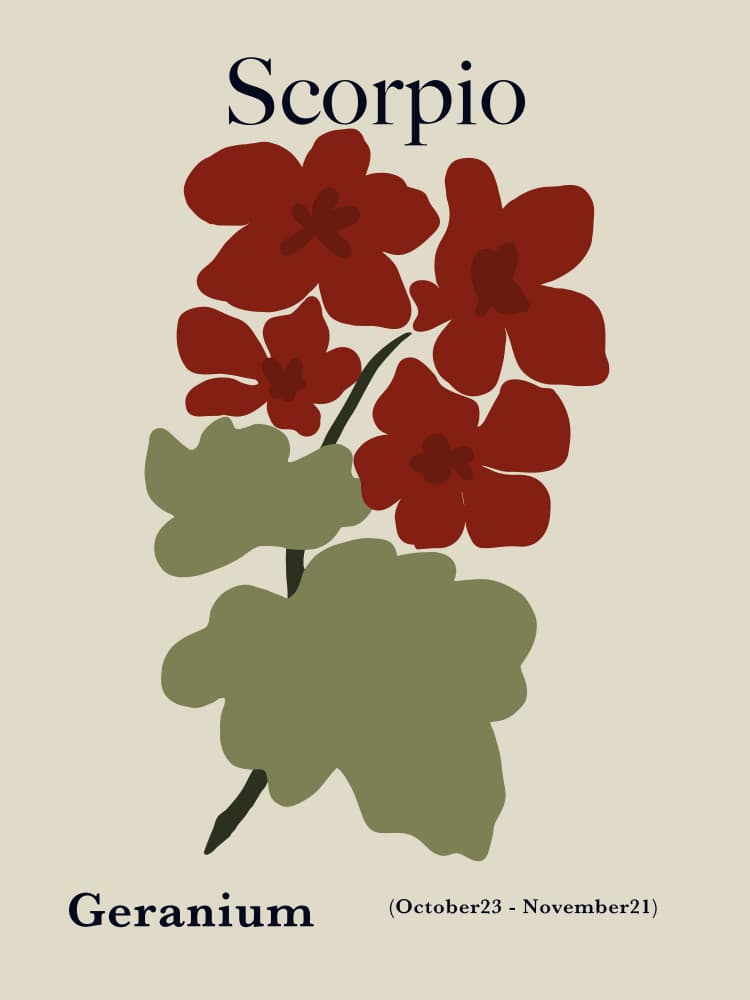 Scorpio Geranium Bloom by Miho Art Studio — canvas wall art