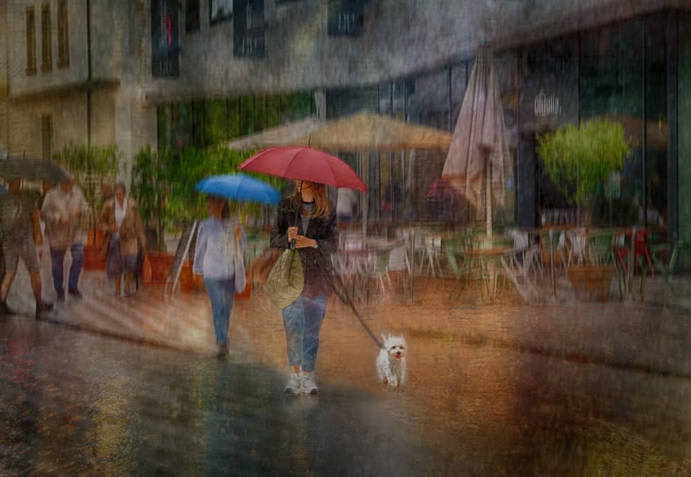 Red Umbrella Dog Walk by Anette Ohlendorf — canvas wall art