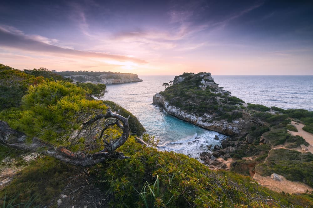 Baydreams by Stefan Hefele — canvas wall art