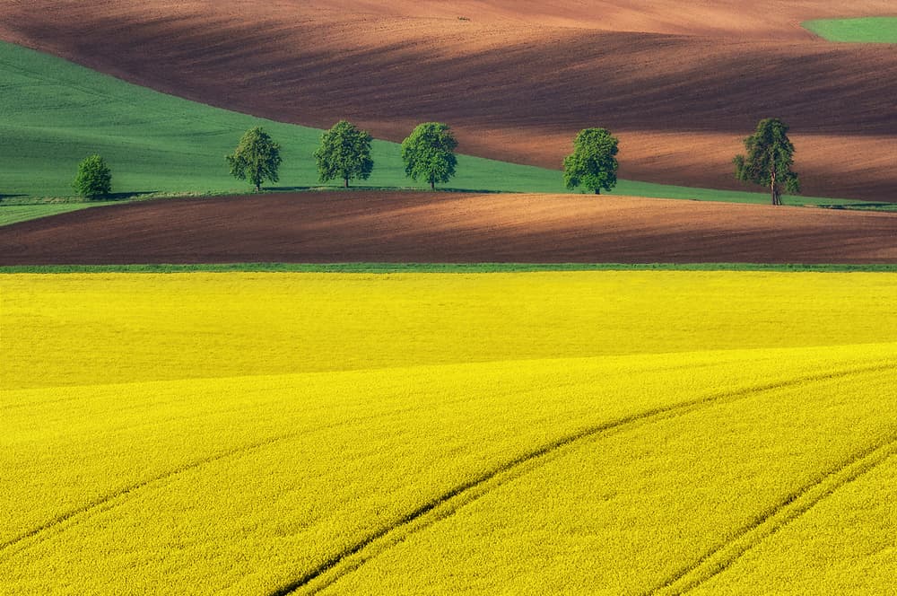 Golden Fields and Rolling Hills by Ales Komovec — canvas wall art