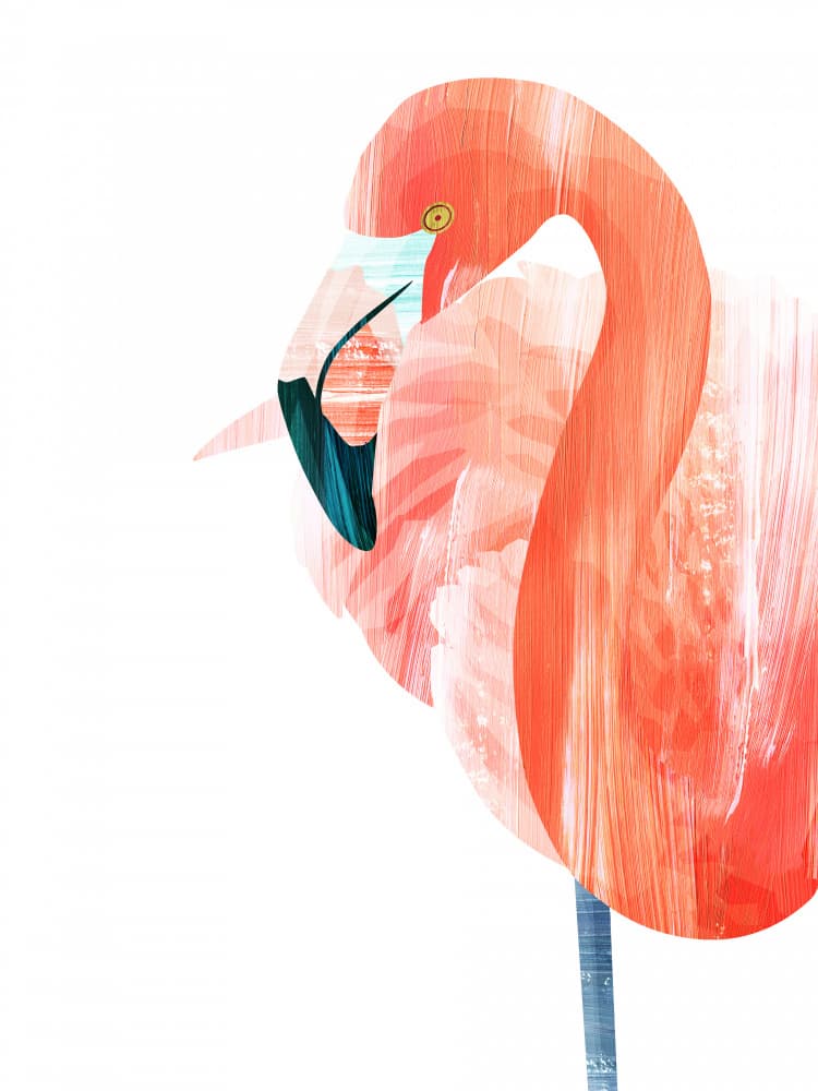 Pink Lady by Goed Blauw — canvas wall art