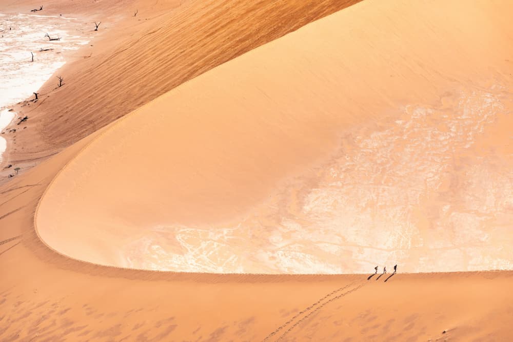 Desert Dunes Walkers by Marco Tagliarino — canvas wall art