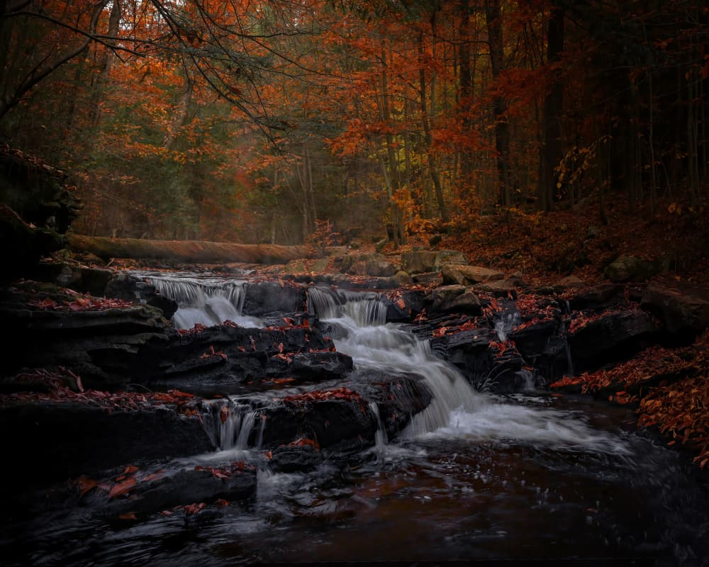 Moody Autumn Forest Waterfall by Cicy Chen — canvas wall art