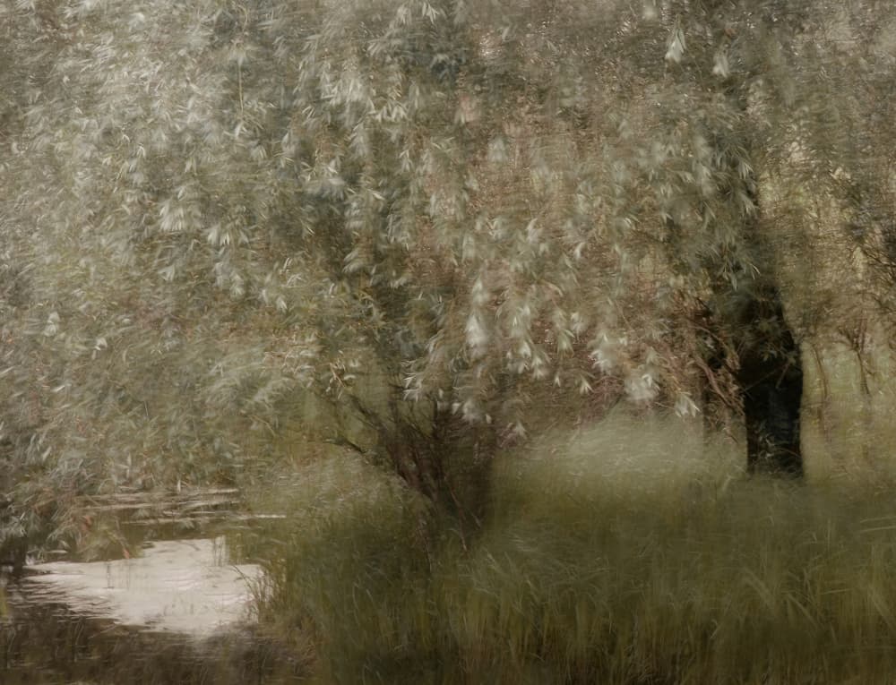 At the riverbank by Nel Talen — canvas wall art